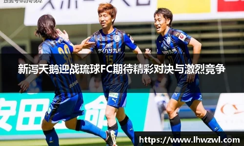 新泻天鹅迎战琉球FC期待精彩对决与激烈竞争